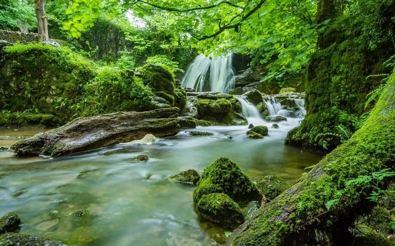 可靠性科技稳定性